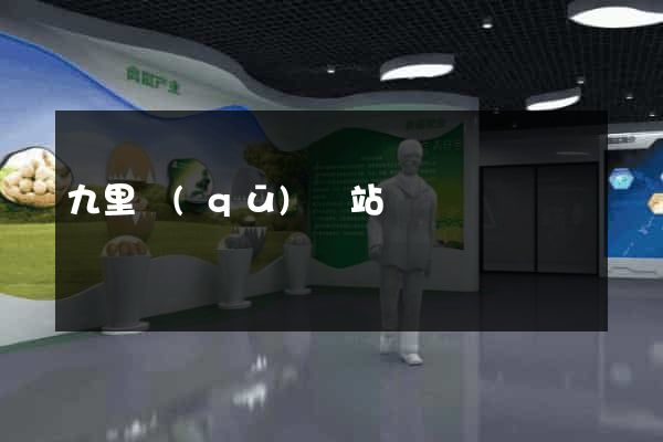 九里區(qū)網站營銷