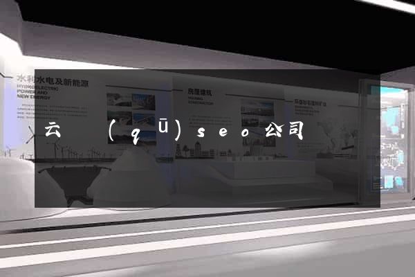 云龍區(qū)seo公司