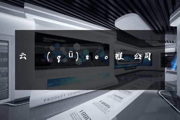 云龍區(qū)seo推廣公司