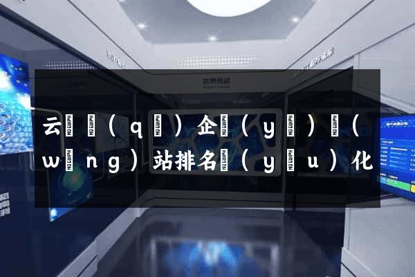 云龍區(qū)企業(yè)網(wǎng)站排名優(yōu)化
