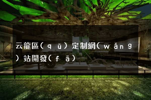 云龍區(qū)定制網(wǎng)站開發(fā)