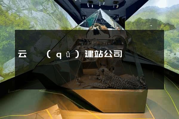 云龍區(qū)建站公司