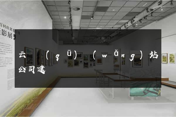 云龍區(qū)網(wǎng)站公司建設