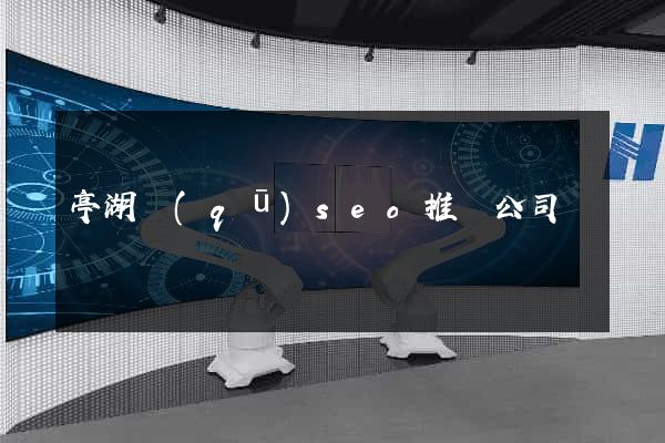 亭湖區(qū)seo推廣公司