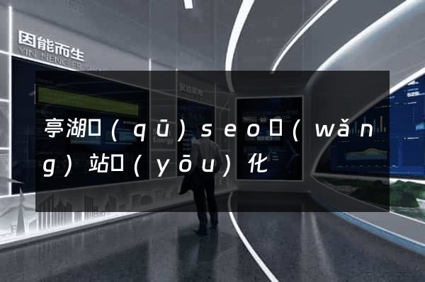 亭湖區(qū)seo網(wǎng)站優(yōu)化