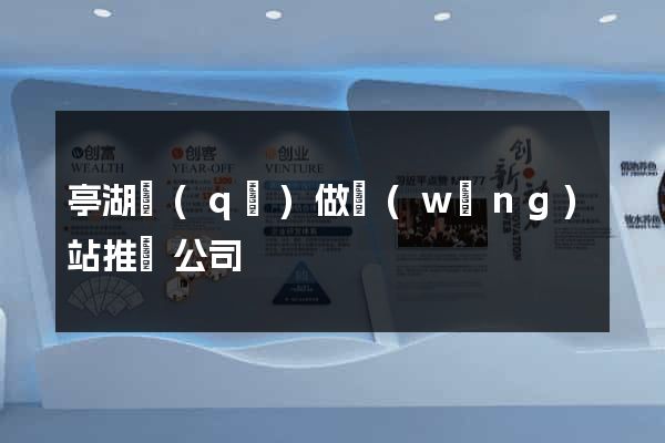 亭湖區(qū)做網(wǎng)站推廣公司
