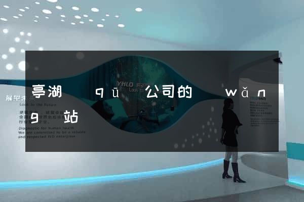亭湖區(qū)公司的網(wǎng)站