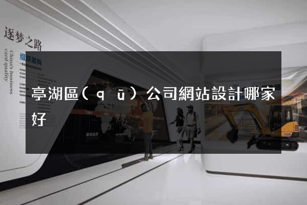 亭湖區(qū)公司網站設計哪家好
