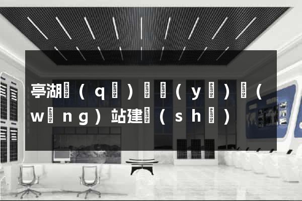 亭湖區(qū)專業(yè)網(wǎng)站建設(shè)