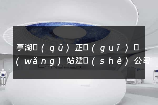 亭湖區(qū)正規(guī)網(wǎng)站建設(shè)公司