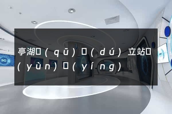 亭湖區(qū)獨(dú)立站運(yùn)營(yíng)