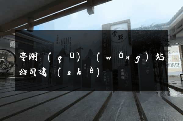 亭湖區(qū)網(wǎng)站公司建設(shè)