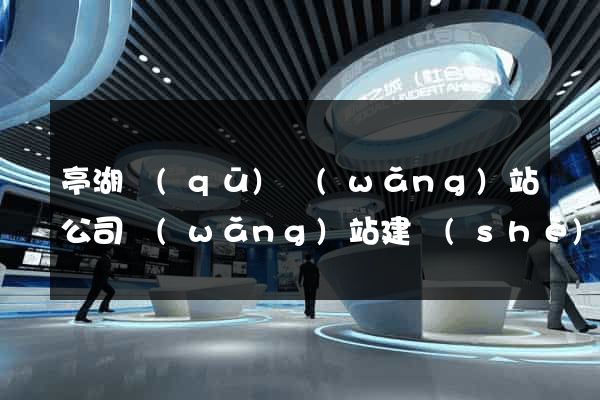 亭湖區(qū)網(wǎng)站公司網(wǎng)站建設(shè)
