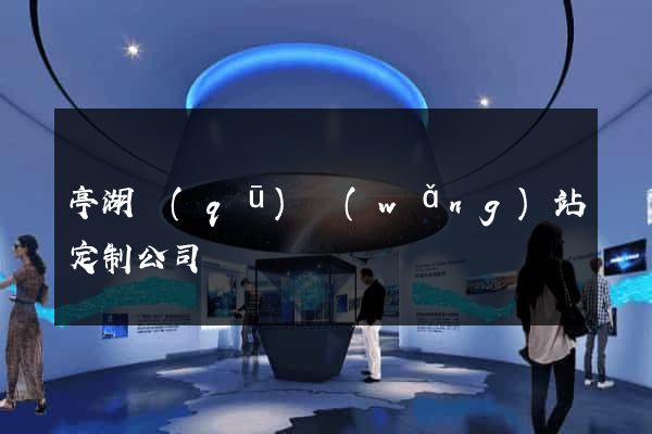 亭湖區(qū)網(wǎng)站定制公司