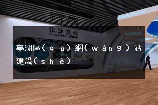 亭湖區(qū)網(wǎng)站建設(shè)