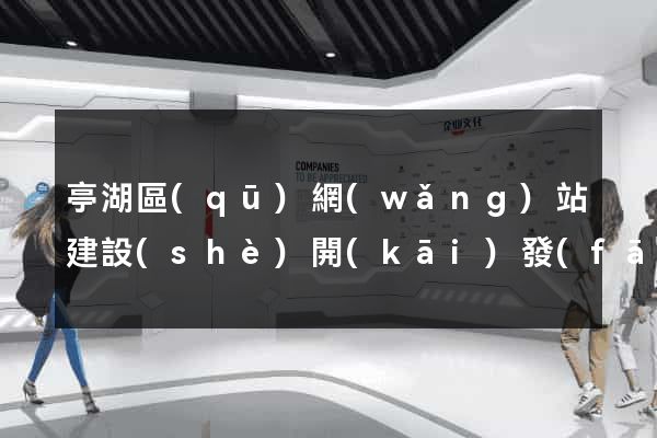 亭湖區(qū)網(wǎng)站建設(shè)開(kāi)發(fā)價(jià)格