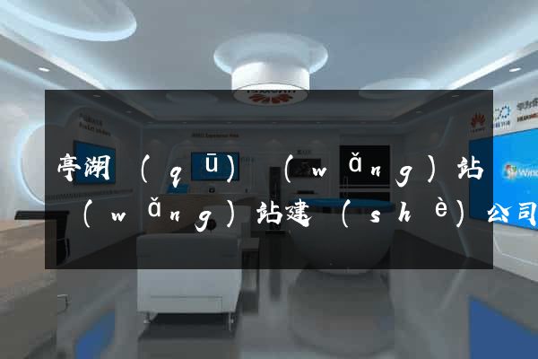 亭湖區(qū)網(wǎng)站網(wǎng)站建設(shè)公司