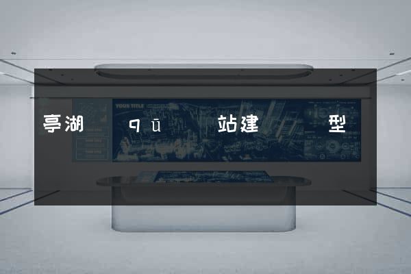 亭湖區(qū)網站建設營銷型