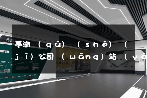 亭湖區(qū)設(shè)計(jì)公司網(wǎng)站優(yōu)化