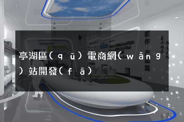 亭湖區(qū)電商網(wǎng)站開發(fā)