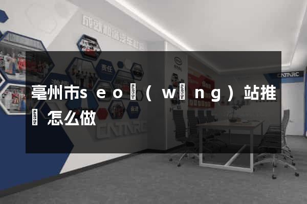 亳州市seo網(wǎng)站推廣怎么做