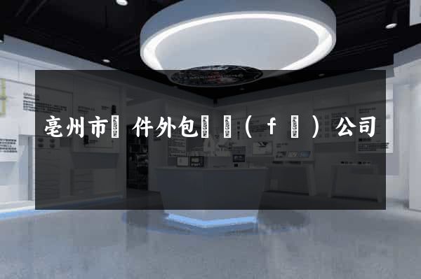 亳州市軟件外包開發(fā)公司