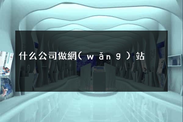 什么公司做網(wǎng)站