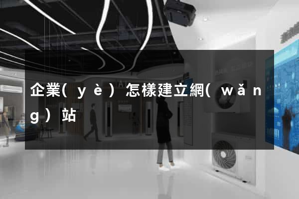 企業(yè)怎樣建立網(wǎng)站