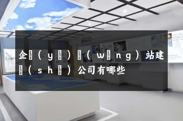 企業(yè)網(wǎng)站建設(shè)公司有哪些
