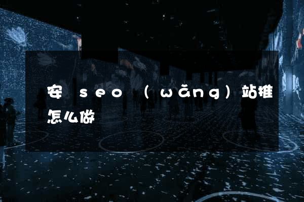 來安縣seo網(wǎng)站推廣怎么做