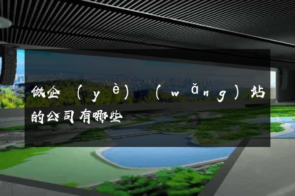 做企業(yè)網(wǎng)站的公司有哪些