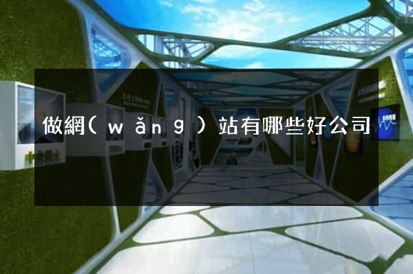 做網(wǎng)站有哪些好公司