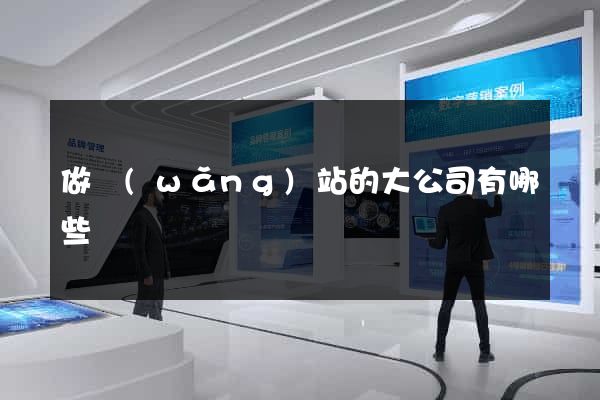 做網(wǎng)站的大公司有哪些