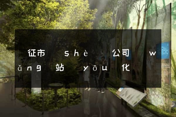 儀征市設(shè)計公司網(wǎng)站優(yōu)化