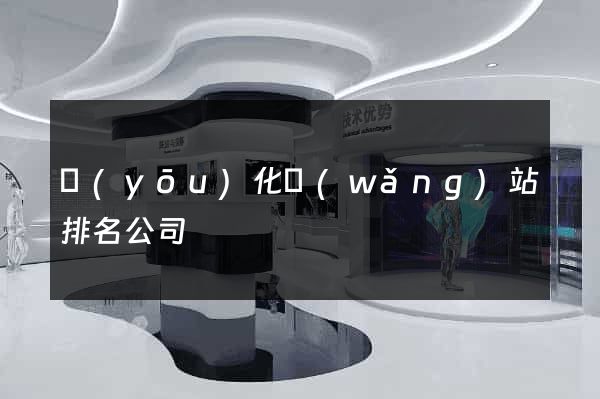 優(yōu)化網(wǎng)站排名公司