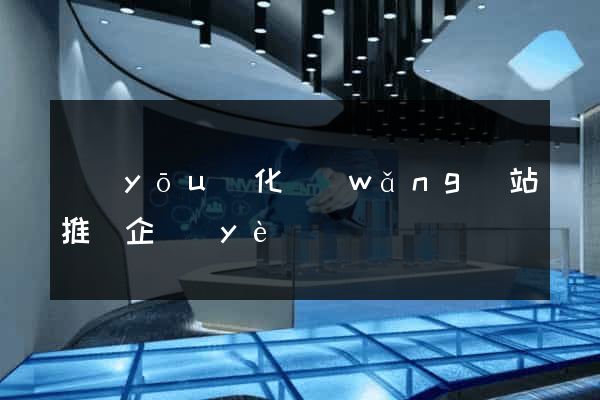 優(yōu)化網(wǎng)站推廣企業(yè)