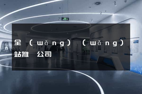 全網(wǎng)網(wǎng)站推廣公司