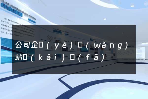 公司企業(yè)網(wǎng)站開(kāi)發(fā)