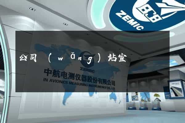 公司網(wǎng)站宣傳
