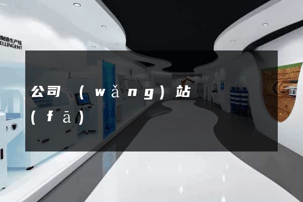 公司網(wǎng)站設計與開發(fā)