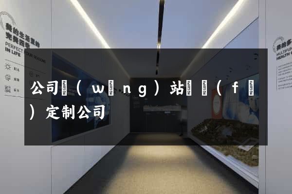 公司網(wǎng)站開發(fā)定制公司