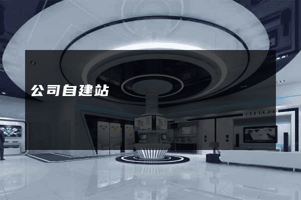 公司自建站
