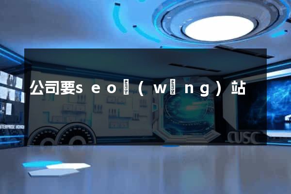 公司要seo網(wǎng)站