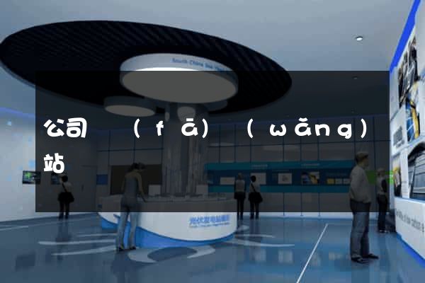 公司開發(fā)網(wǎng)站