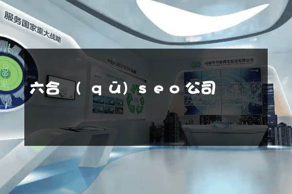 六合區(qū)seo公司