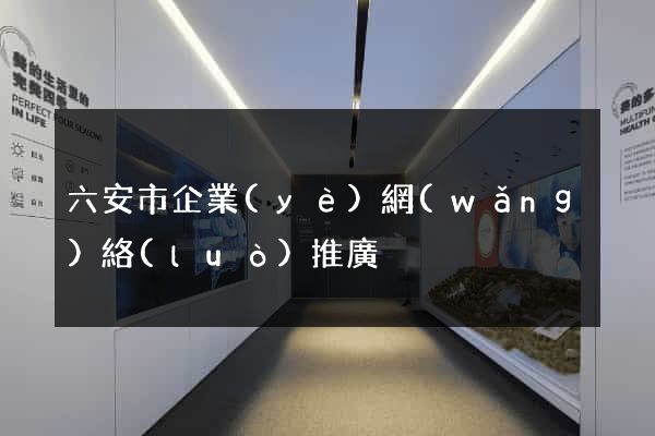 六安市企業(yè)網(wǎng)絡(luò)推廣