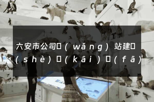 六安市公司網(wǎng)站建設(shè)開(kāi)發(fā)