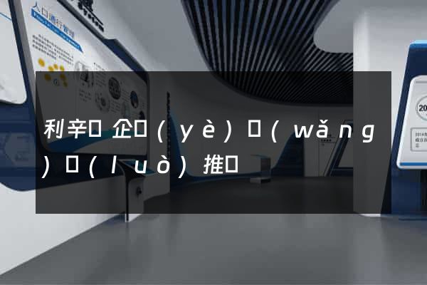 利辛縣企業(yè)網(wǎng)絡(luò)推廣