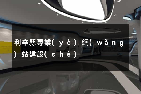 利辛縣專業(yè)網(wǎng)站建設(shè)