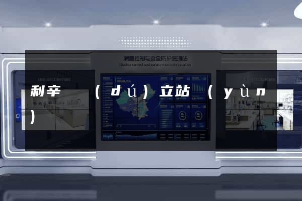 利辛縣獨(dú)立站運(yùn)營